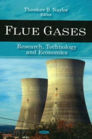 Buch Flue Gases 