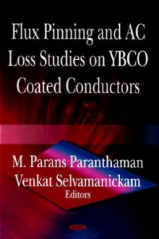 Książka Flux Pinning & AC Loss Studies on YBCO Coated Conducters 