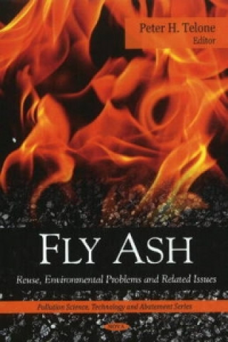 Carte Fly Ash 