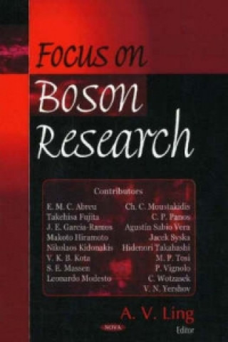 Książka Focus on Boson Research 