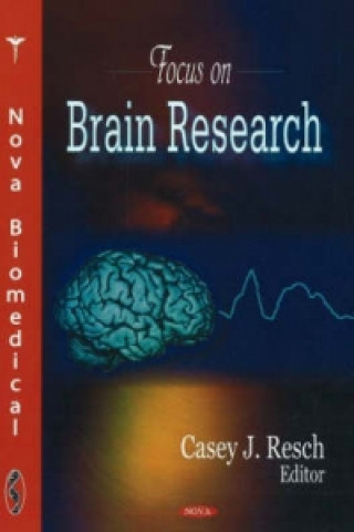 Könyv Focus on Brain Research 