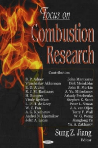 Livre Focus on Combustion Research 