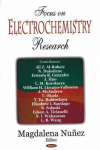 Libro Focus on Electrochemistry Research 