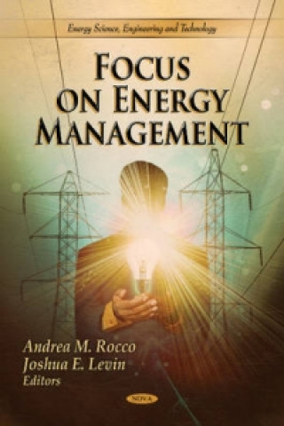 Book Focus on Energy Management 