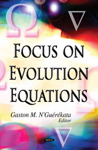 Kniha Focus on Evolution Equations 