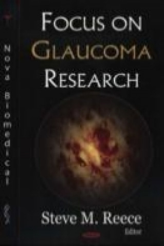 Kniha Focus on Glaucoma Research 