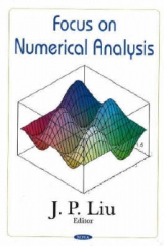 Książka Focus on Numerical Analysis 