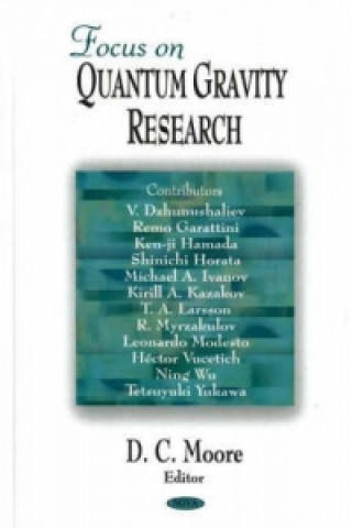 Book Focus on Quantum Gravity Research 