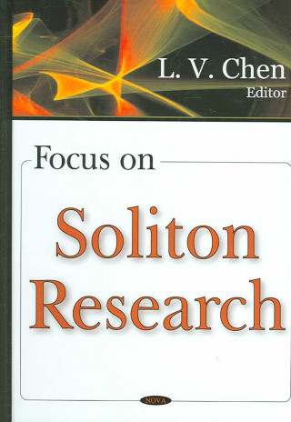 Kniha Focus on Soliton Research 