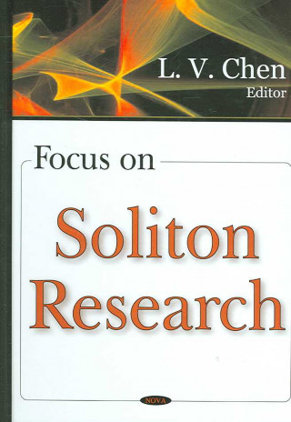 Książka Focus on Soliton Research 