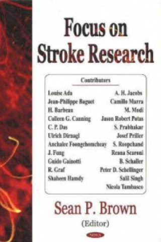 Kniha Focus on Stroke Research 