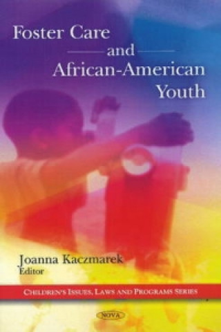 Książka Foster Care & African-American Youth 