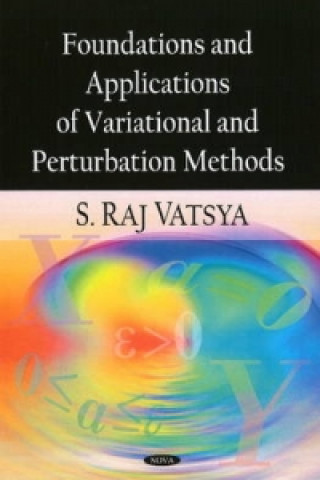 Kniha Foundations & Applications of Variational & Perturbation Methods S. Raj Vatsya