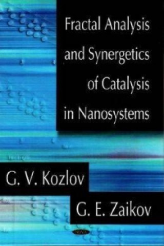 Könyv Fractal Analysis & Synergetics of Catalysis in Nanosystems G. V. Kozlov