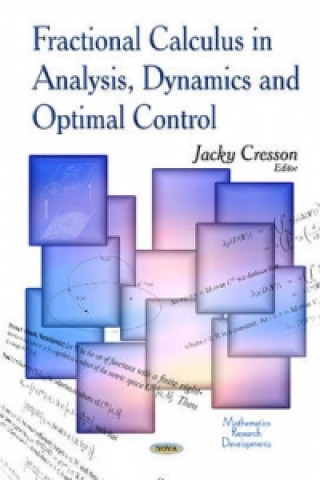 Könyv Fractional Calculus in Analysis, Dynamics & Optimal Control 