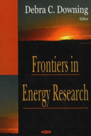 Kniha Frontiers in Energy Research 