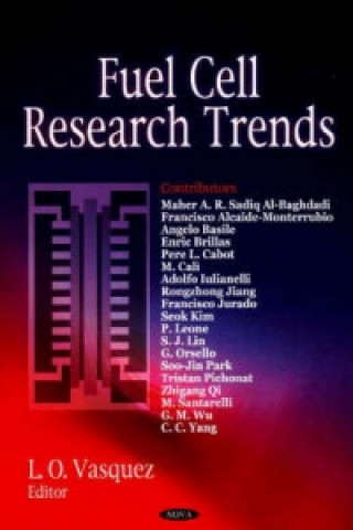 Könyv Fuel Cell Research Trends 