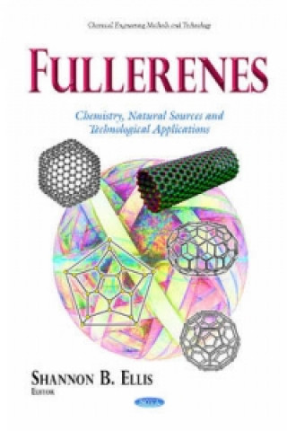 Könyv Fullerenes 