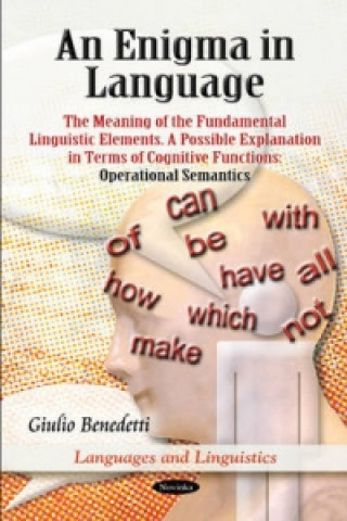 Buch Enigma in Language Giulio Benedetti