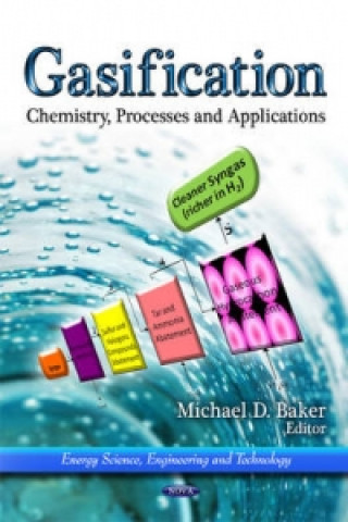 Knjiga Gasification Michael D Baker