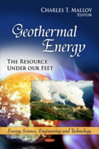 Kniha Geothermal Energy 