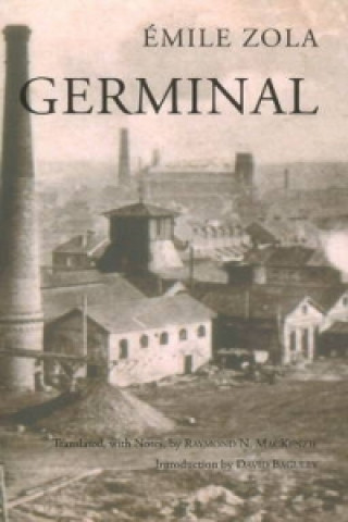 Könyv Germinal Emile Zola