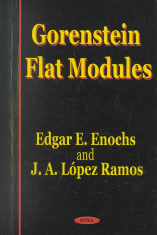 Kniha Gorenstein Flat Modules J.A.Lopez Ramos