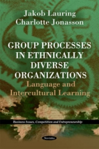 Kniha Group Processes in Ethnically Diverse Organizations Charlotte Jonasson