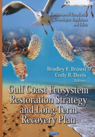 Książka Gulf Coast Ecosystem Restoration Strategy & Long-Term Recovery Plan 