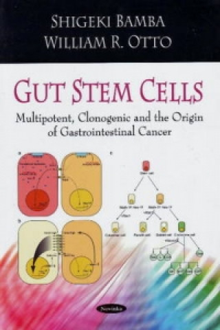 Kniha Gut Stem Cells William Rotto