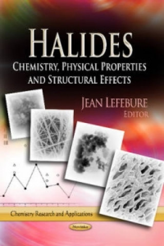 Kniha Halides 