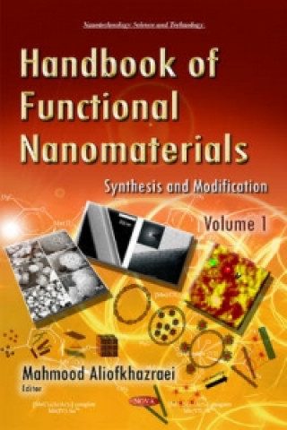 Kniha Handbook of Functional Nanomaterials 