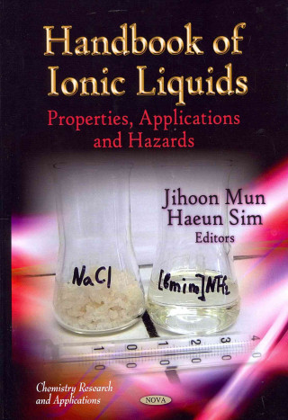 Książka Handbook of Ionic Liquids 