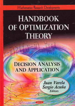 Book Handbook of Optimization Theory 