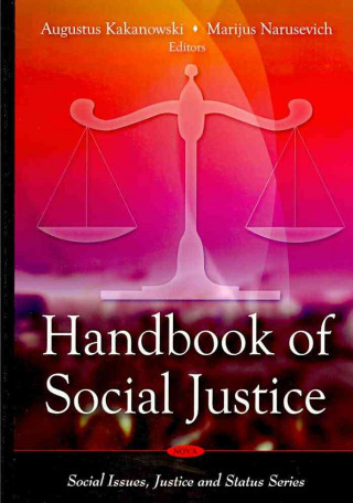 Kniha Handbook of Social Justice 