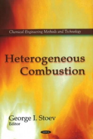 Kniha Heterogeneous Combustion 