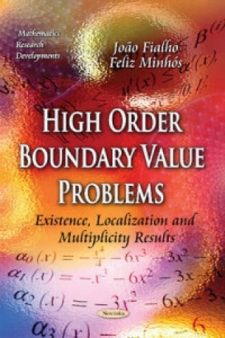 Livre High Order Boundary Value Problems Feliz Minhos