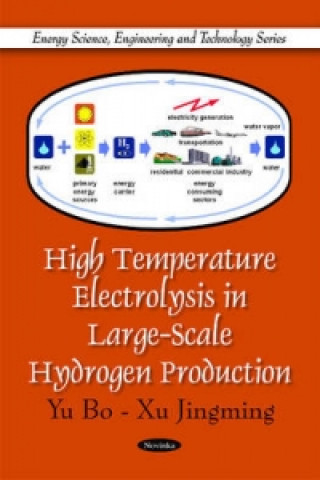 Kniha High Temperature Electrolysis in Large-Scale Hydrogen Production Xu Jingming