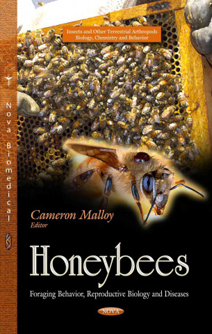 Książka Honeybees 