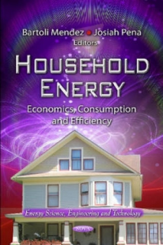 Knjiga Household Energy Bartoli Mendez