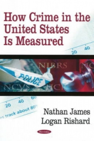 Kniha How Crime in the United States Is Measured Logan Rishard