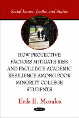 Kniha How Protective Factors Mitigate Risk & Facilitate Academic Resilience Among Poor Minority College Students Erik E. Morales