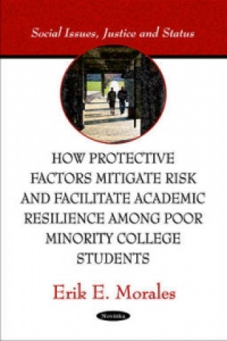 Buch How Protective Factors Mitigate Risk & Facilitate Academic Resilience Among Poor Minority College Students Erik E. Morales