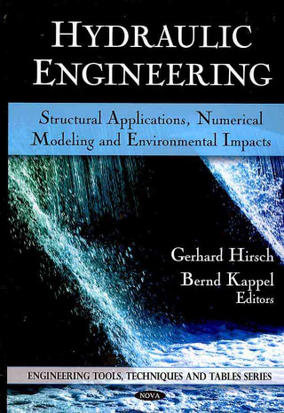 Buch Hydraulic Engineering 