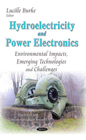Knjiga Hydroelectricity & Power Electronics Lucille Burke