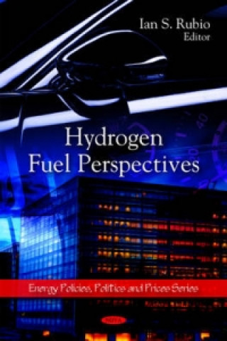 Buch Hydrogen Fuel Perspectives 