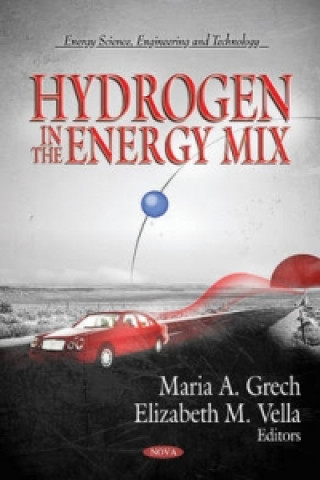 Kniha Hydrogen in the Energy Mix 