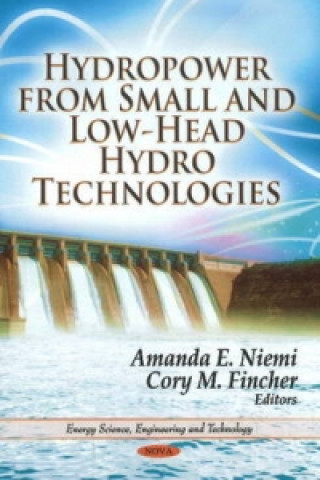 Carte Hydropower from Small & Low-Head Hydro Technologies 