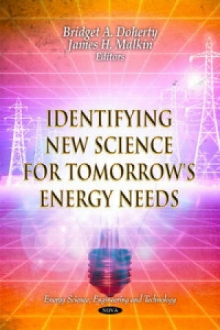 Книга Identifying New Science for Tomorrow's Energy Needs 