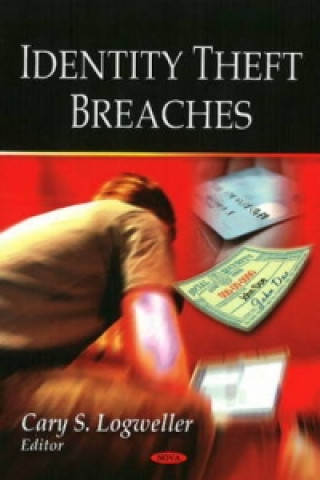 Книга Identity Theft Breaches 